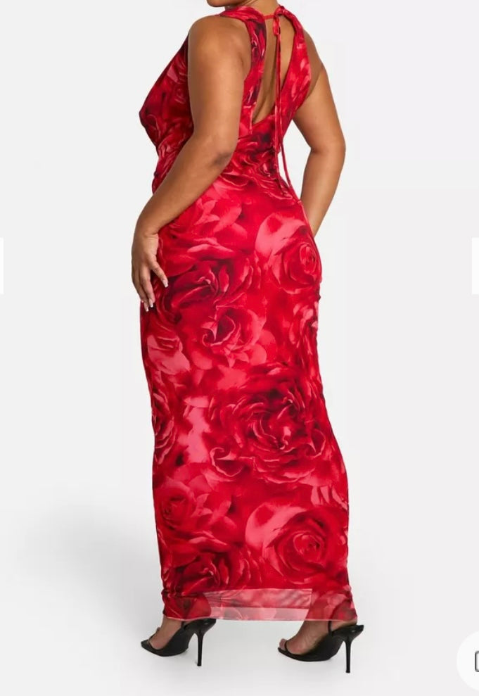 Rose print Maxi dress