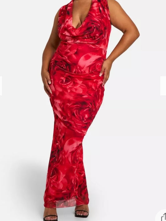Rose print Maxi dress